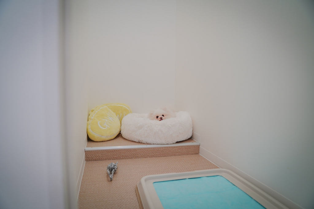 岐阜市のトリミングサロンHAPPY COCO PET CARE SALON