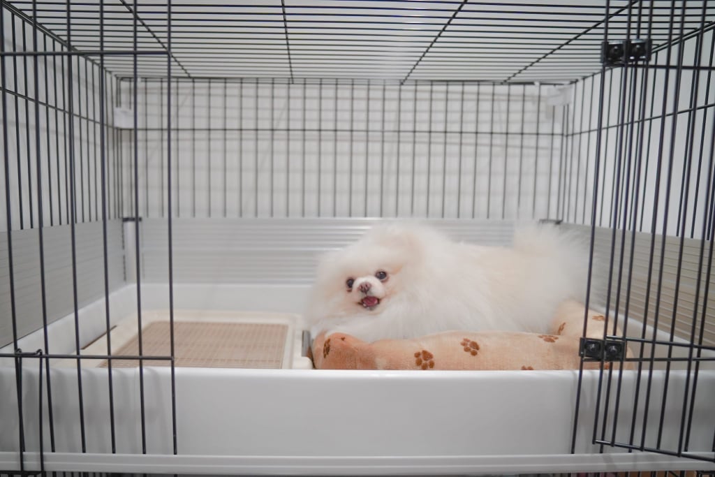 岐阜市のトリミングサロンHAPPY COCO PET CARE SALON