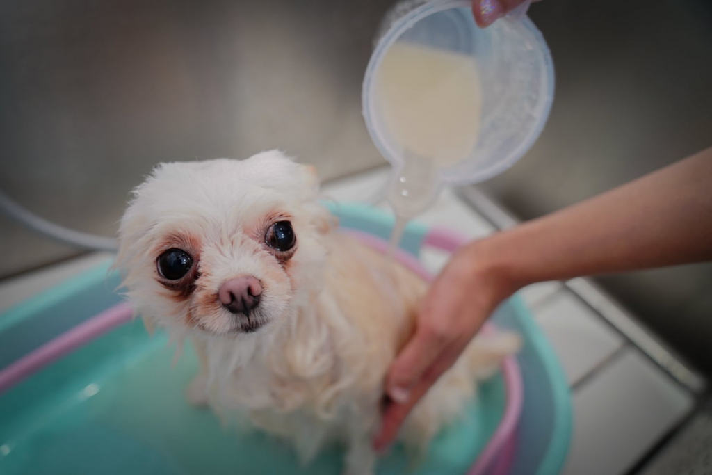 岐阜市のトリミングサロンHAPPY COCO PET CARE SALON